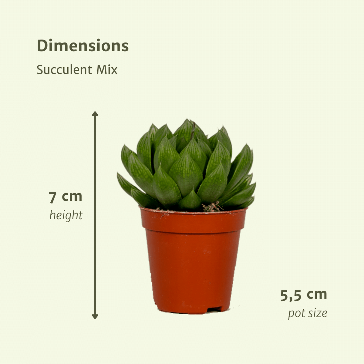 Productafbeelding van Pureplant