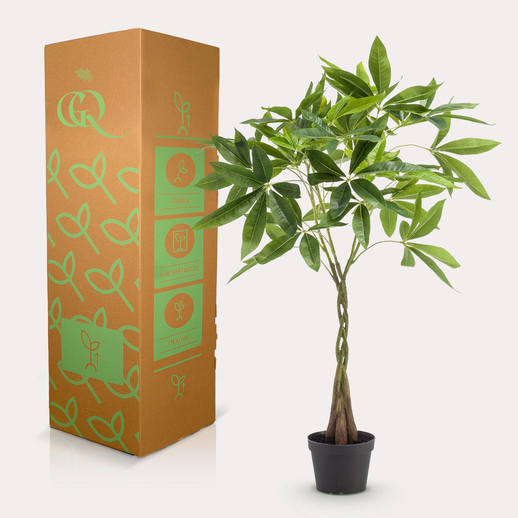 kunstplant - Pachira aquatica - Geldboom, groene bladeren