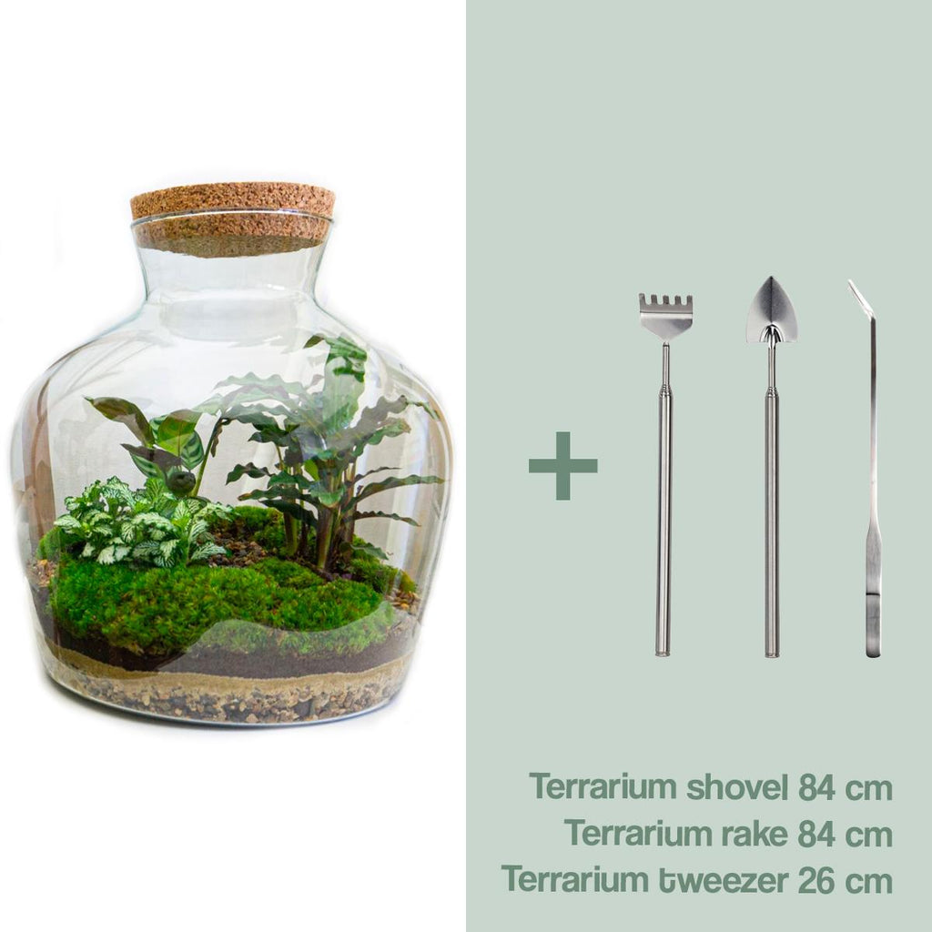 Detailfoto van DIY terrarium Fat Joe met licht, hark, schep, pincet