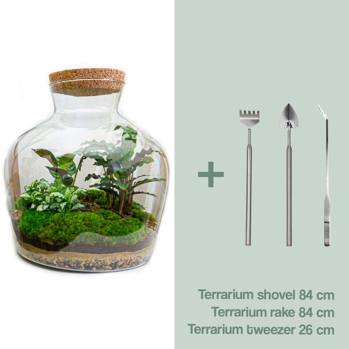 Detailfoto van DIY terrarium Fat Joe met licht, hark, schep, pincet