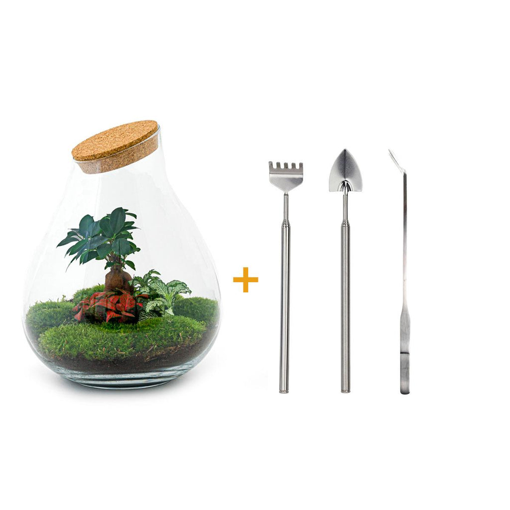 Detailfoto van DIY terrarium Drop XL Bonsai Red, hark, schep, pincet