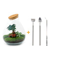 Detailfoto van DIY terrarium Drop XL Bonsai Red, hark, schep, pincet
