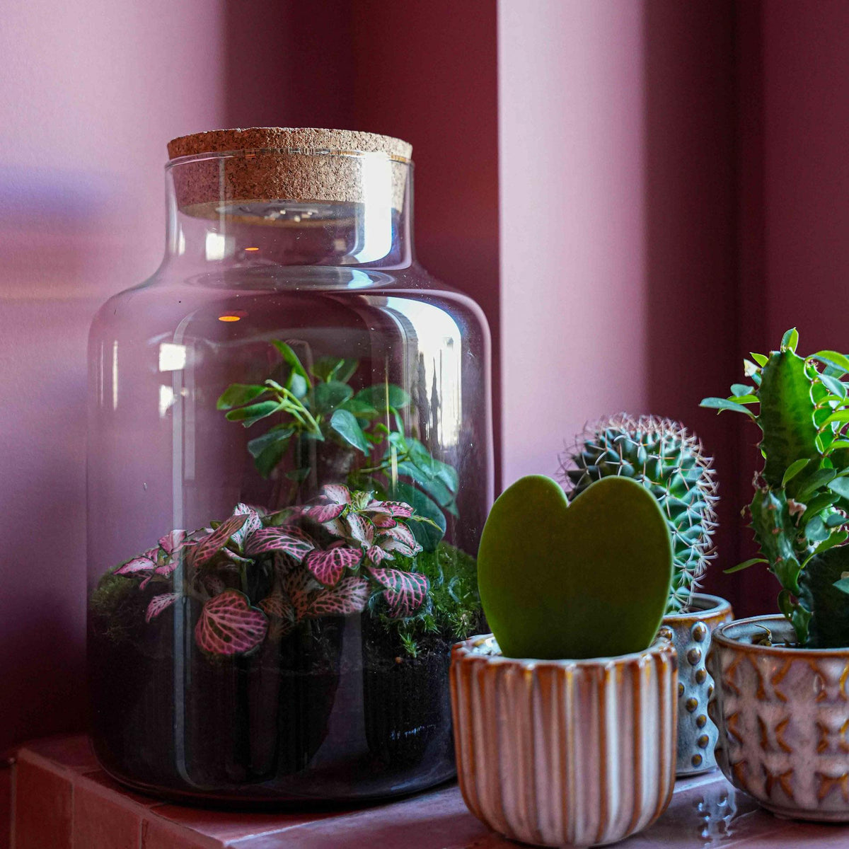 Terrarium Little Milky 'Love Mom', gegraveerde kurk en licht, plant in pot