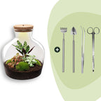 DIY plantenterrarium met licht, Fat Joe Red, compleet setje, groene bladeren