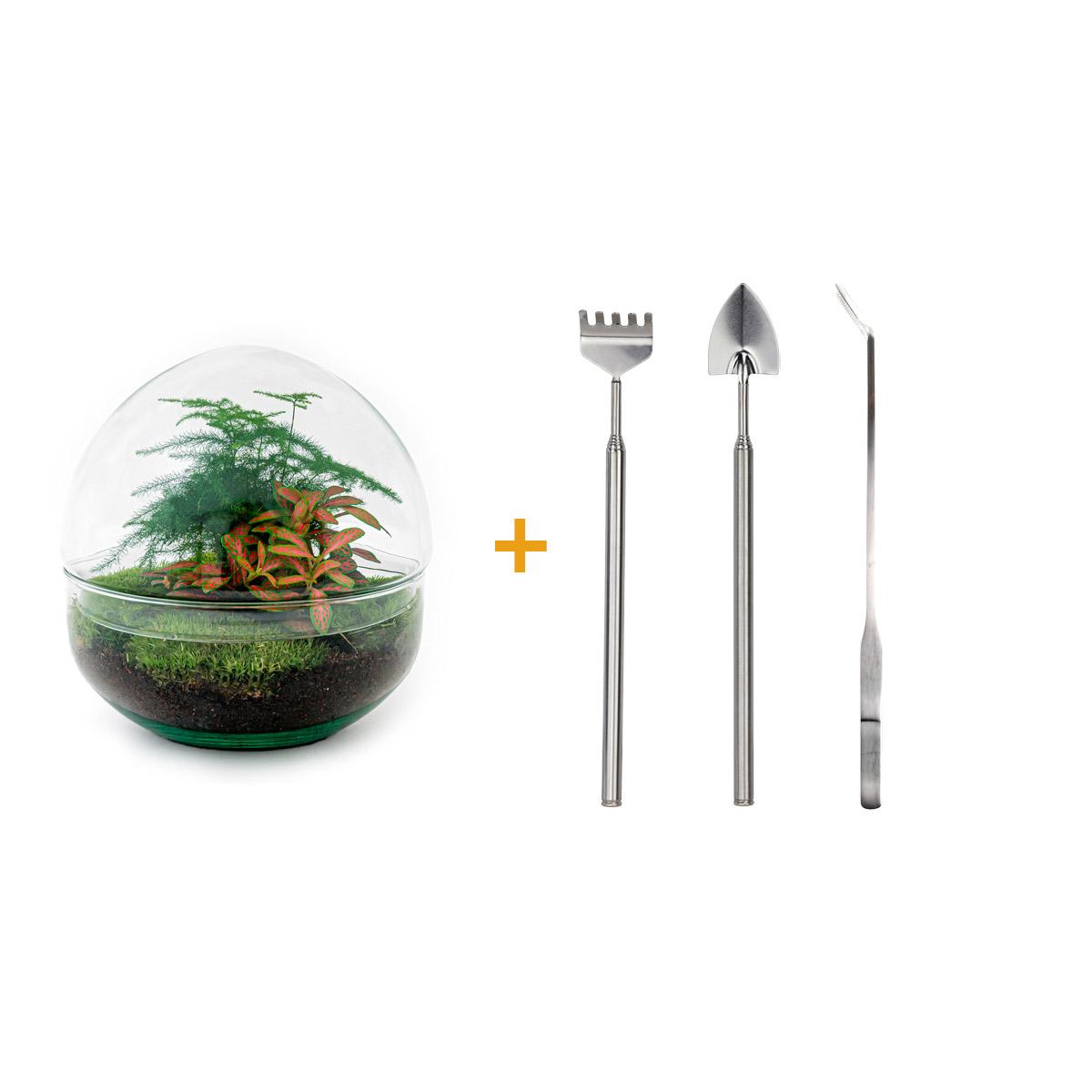 Productafbeelding van Pureplant