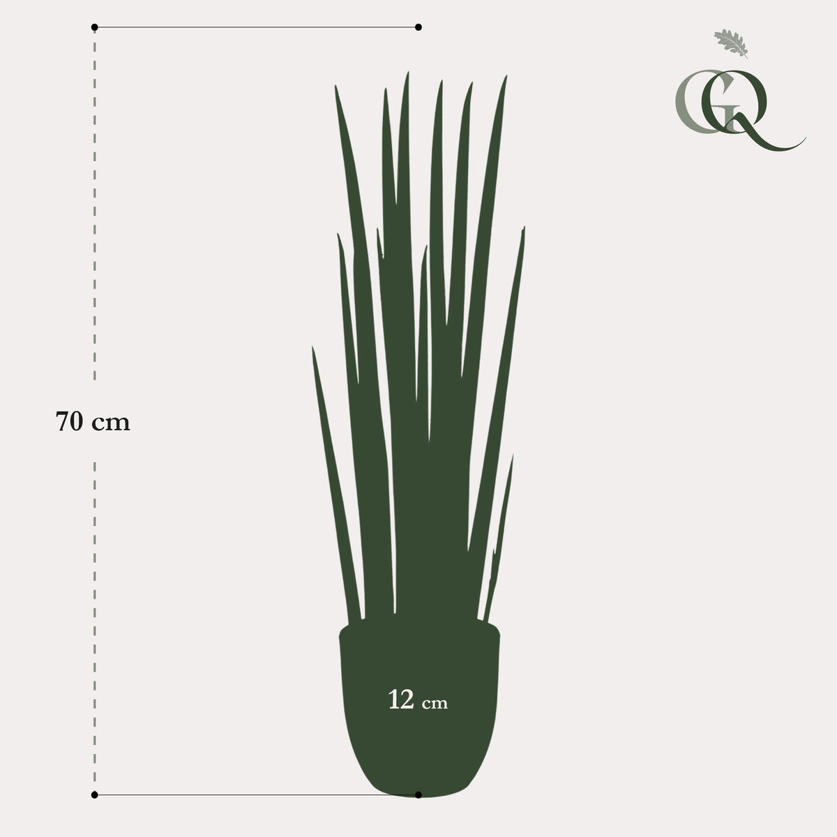 Productafbeelding van Pureplant