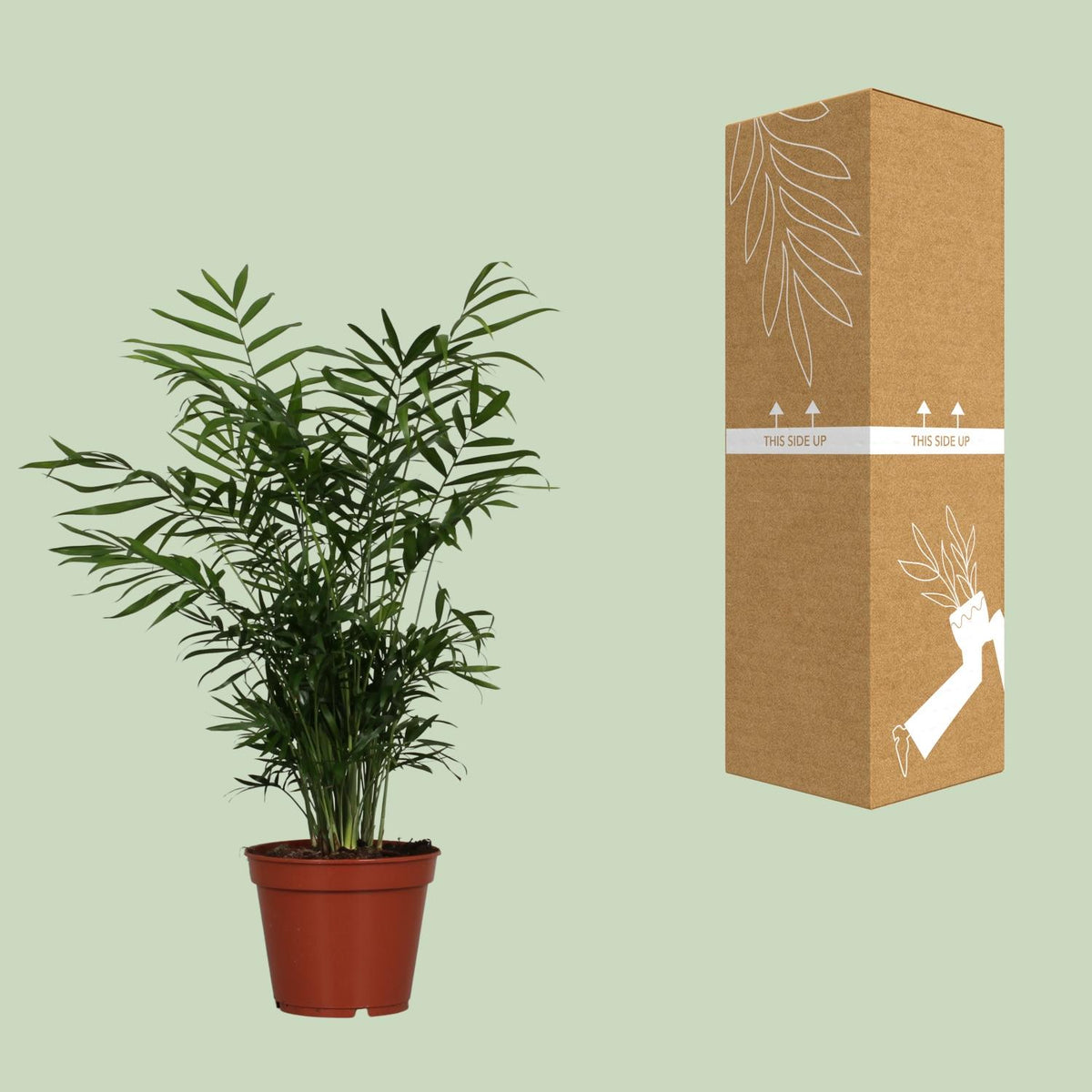 Productafbeelding van Pureplant