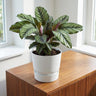 Elho Greenville ronde pot, mat wit, Ø20 cm