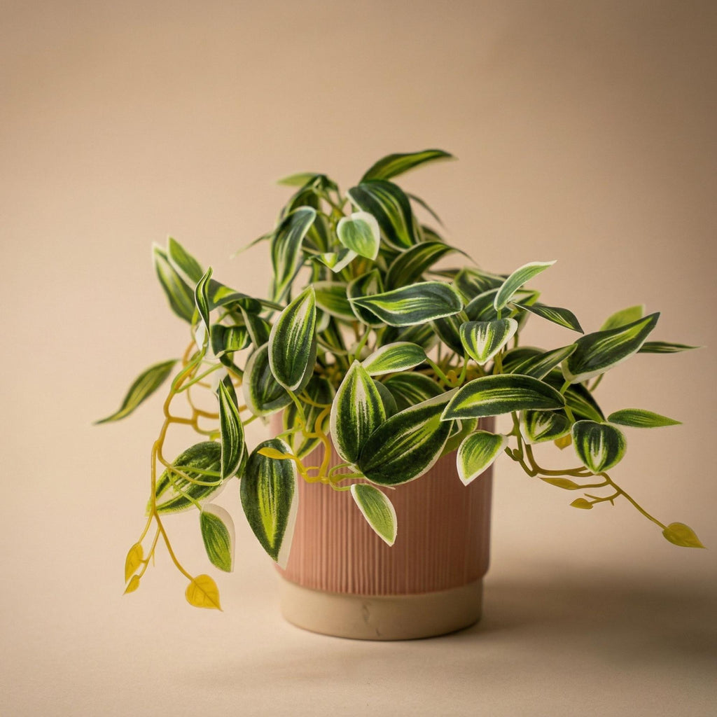 Kunstplant Tradescantia groen/wit, plant in pot