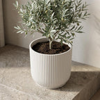 Productafbeelding van Pureplant