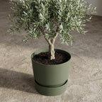 Productafbeelding van Pureplant