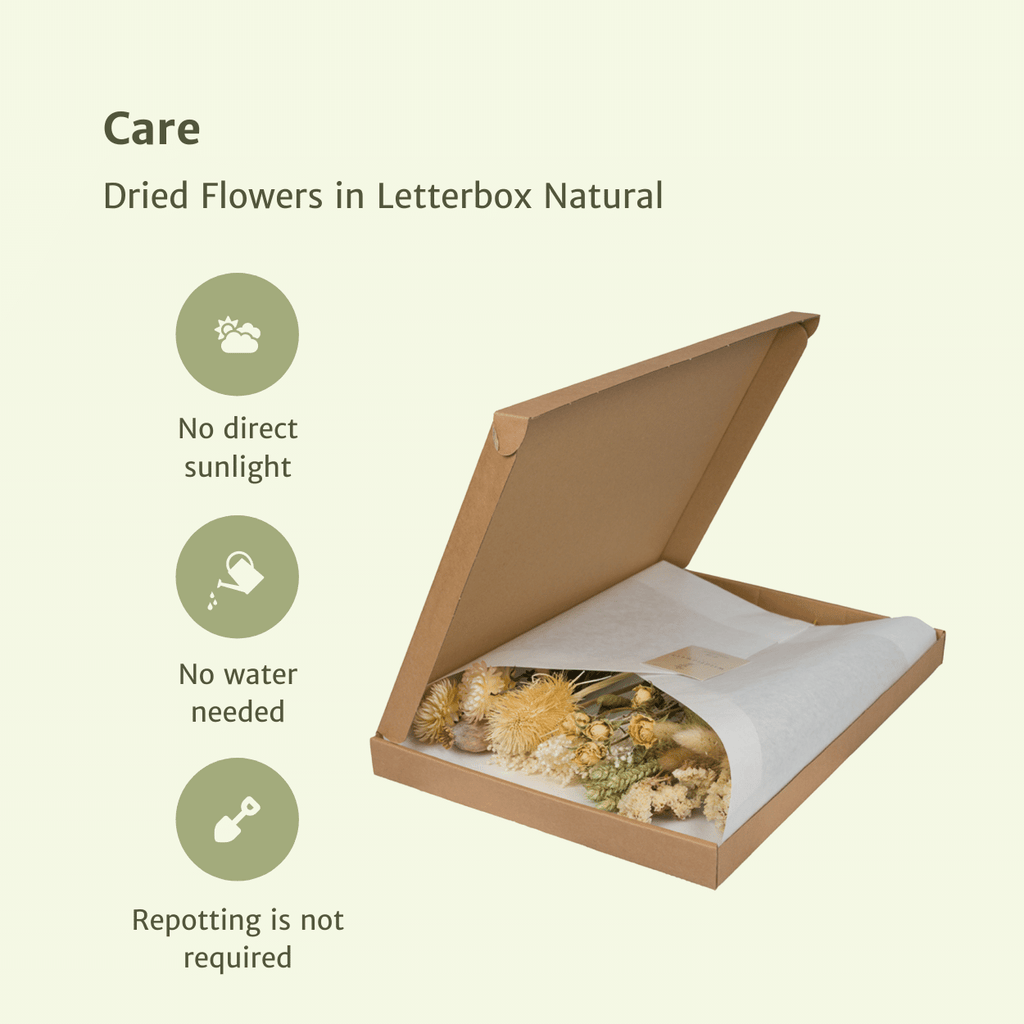 Detailfoto van Droogbloemen in Letterbox - Natural