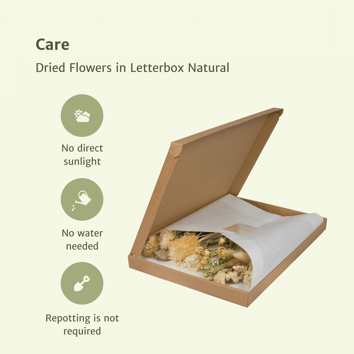 Detailfoto van Droogbloemen in Letterbox - Natural