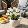 Crocus White