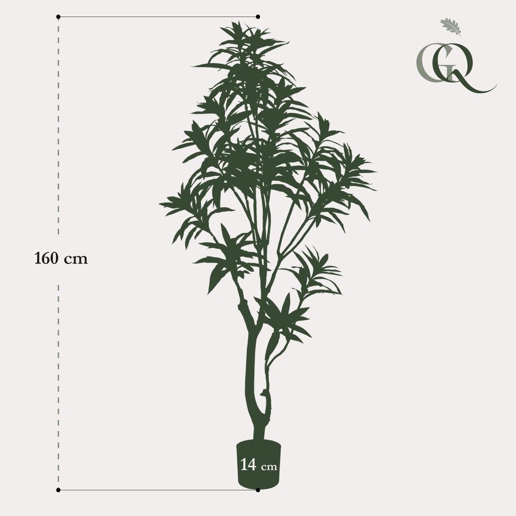 Productafbeelding van Pureplant