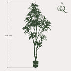Productafbeelding van Pureplant