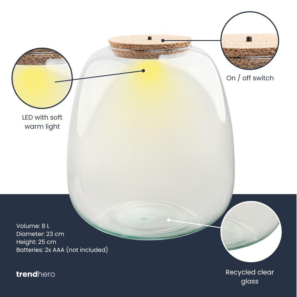 Terrarium fles met verlichting - Emma, kenmerkend blad