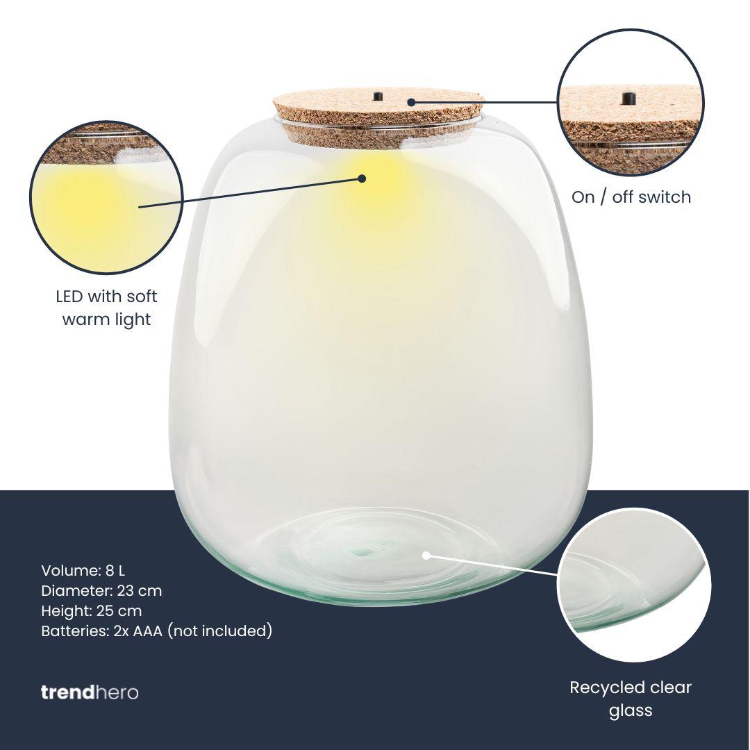 Terrarium fles met verlichting - Emma, kenmerkend blad