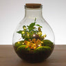 Kerstdraadverlichting op batterijen, warm wit, 20 leds, 1 m