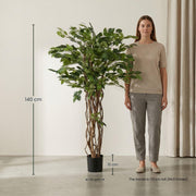 Ficus Liana Kunstboom