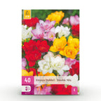 Freesia Double Mix, detail van het blad