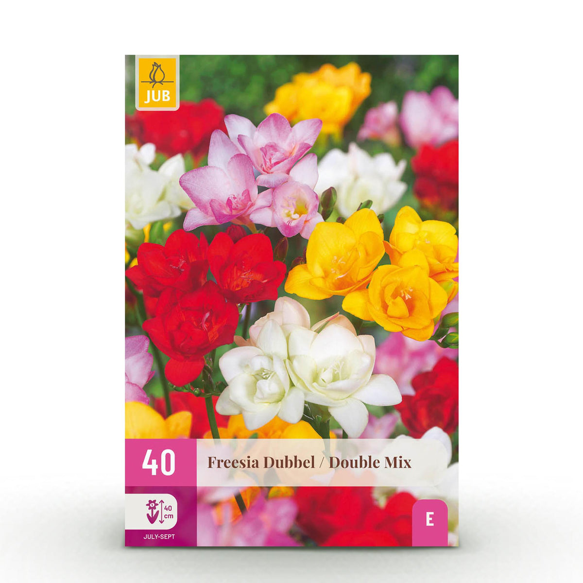 Freesia Double Mix, detail van het blad