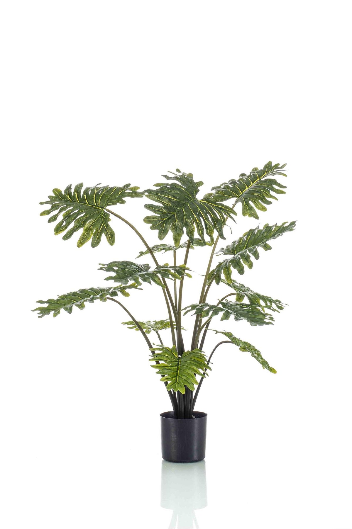 Productafbeelding van Pureplant