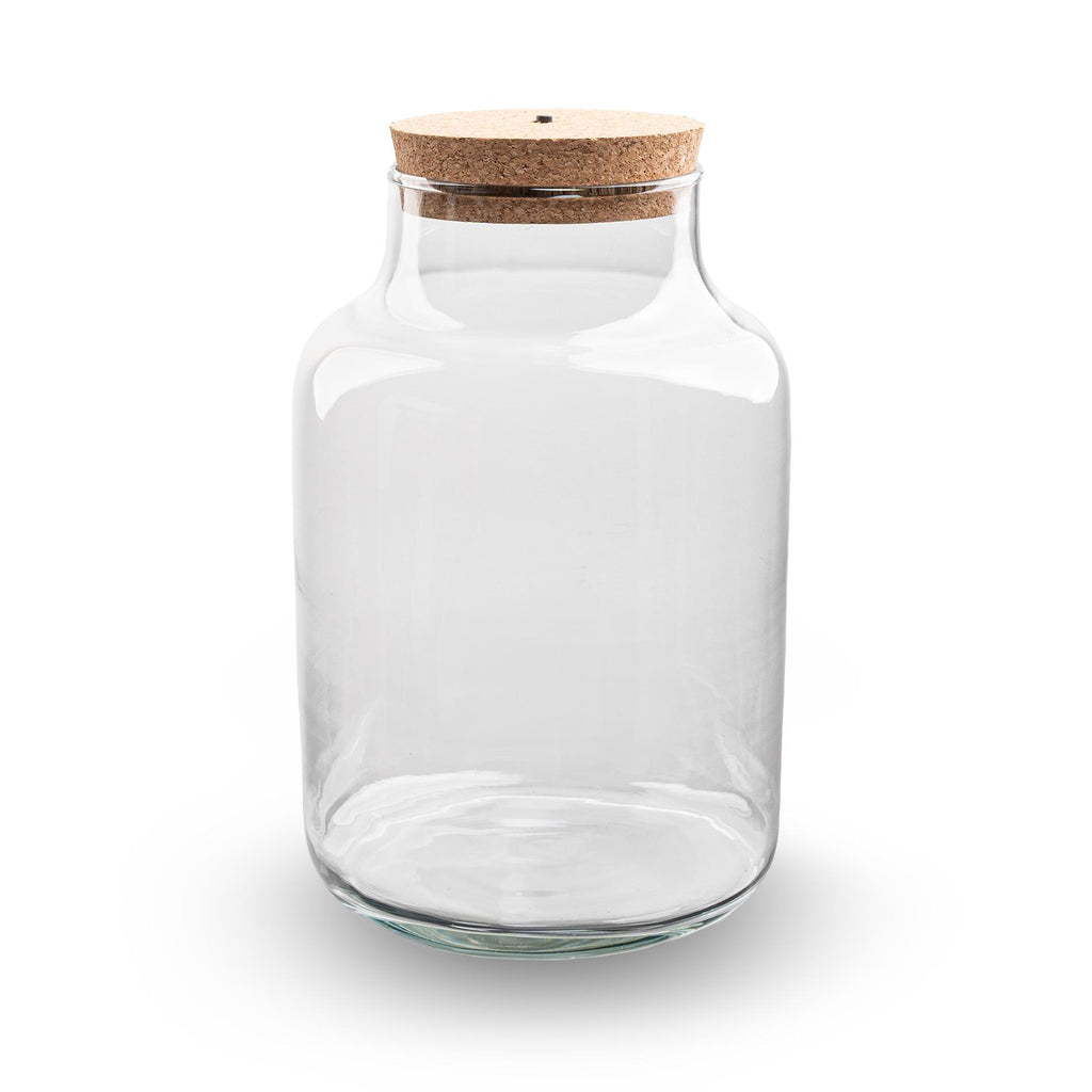 Terrarium fles met verlichting - Milky, plant in pot