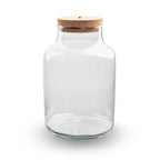 Terrarium fles met verlichting - Milky, plant in pot