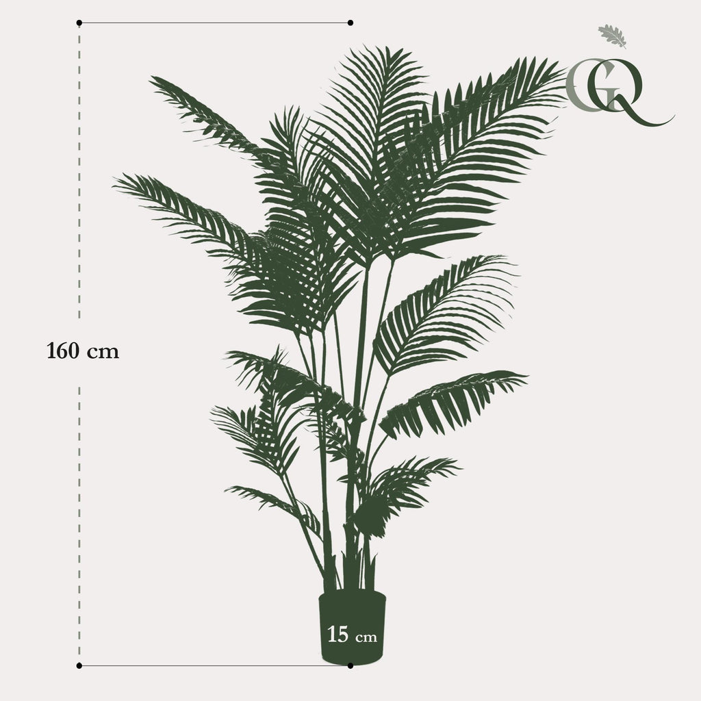 Kunstplant - Howea Forsteriana, groeiwijze van de plant