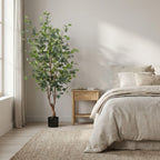 Eucalyptus boom, plant in pot