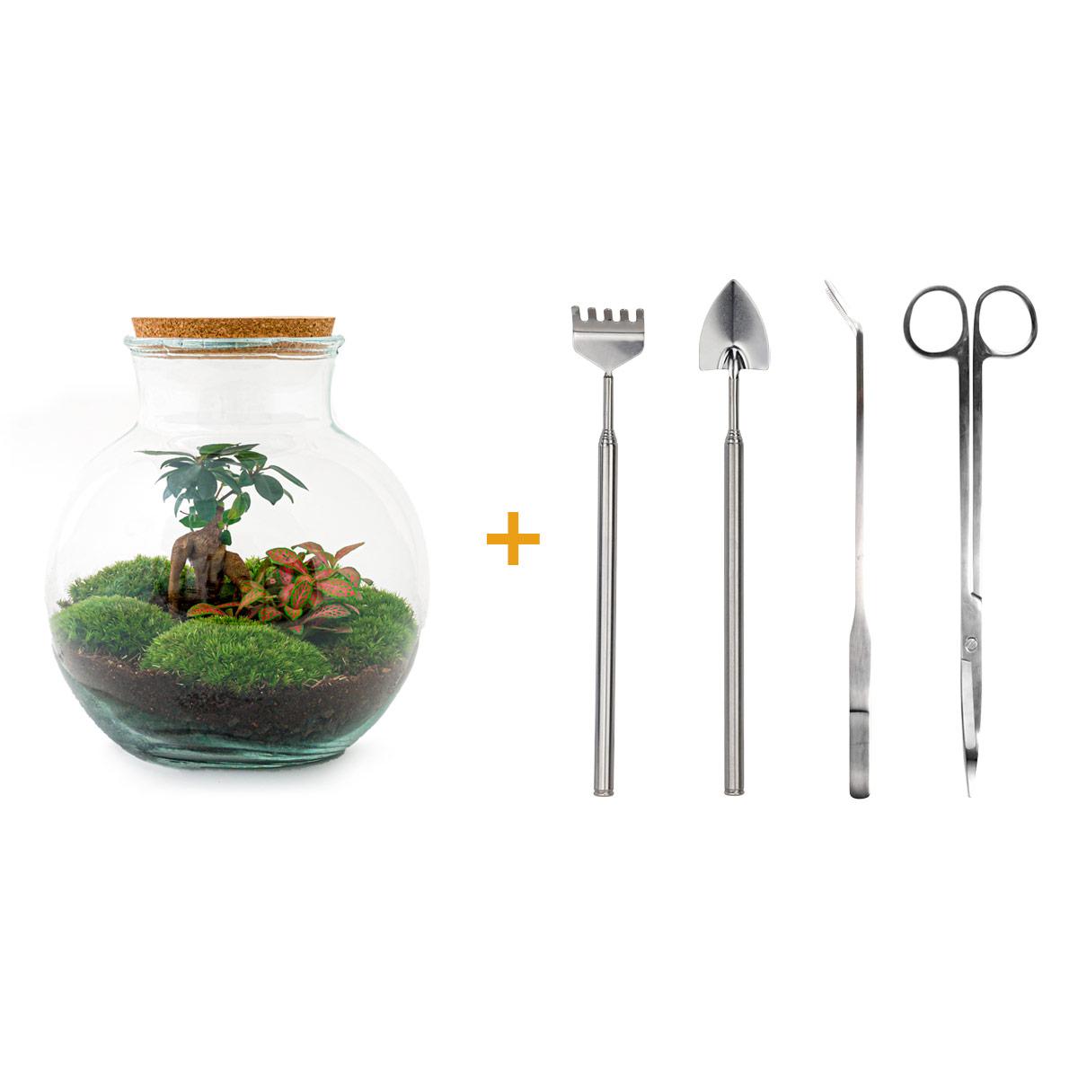 Productafbeelding van Pureplant