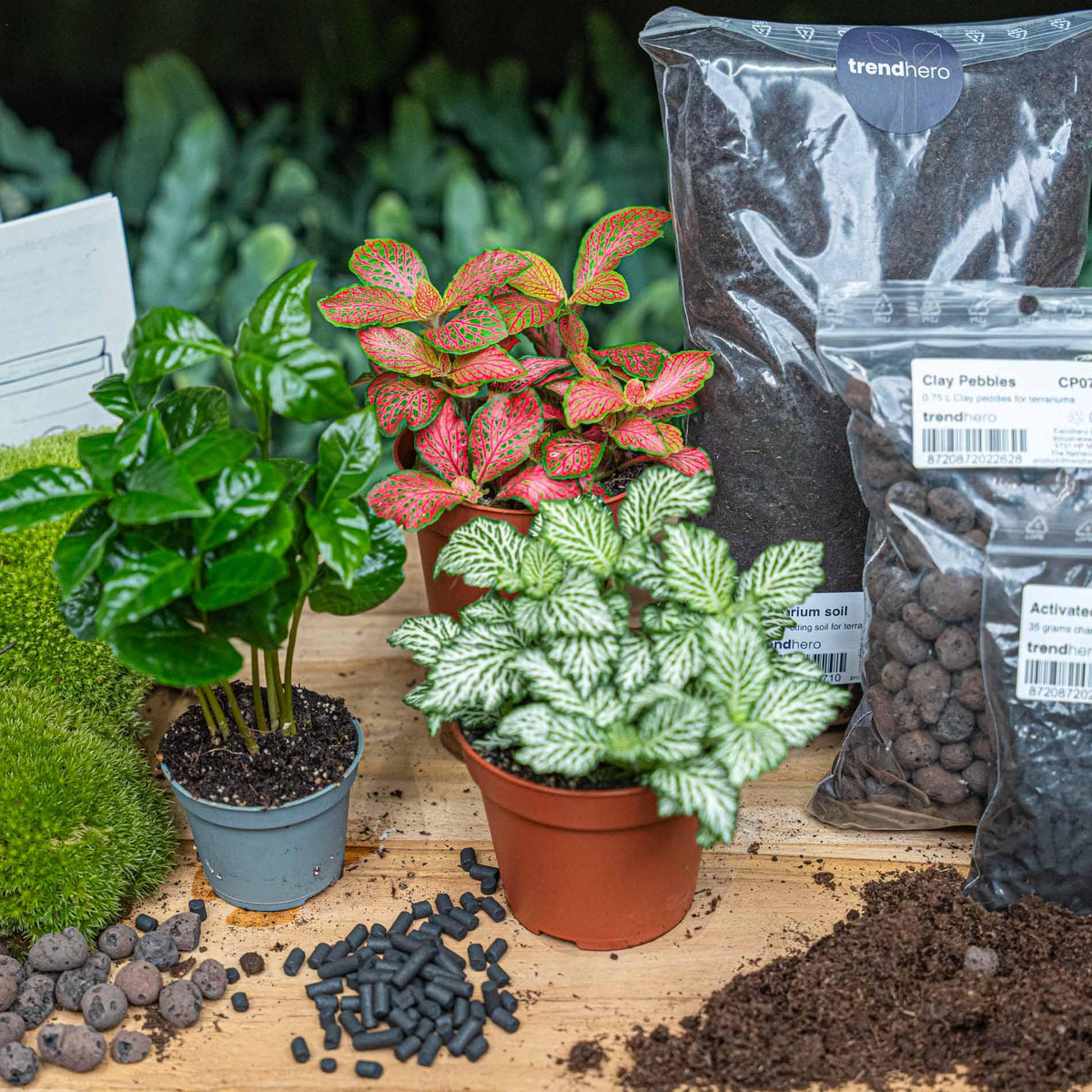 Productafbeelding van Pureplant