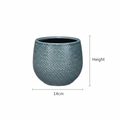 Pot Gabriel rond blauw, kenmerkend blad