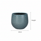 Pot Gabriel rond blauw, kenmerkend blad