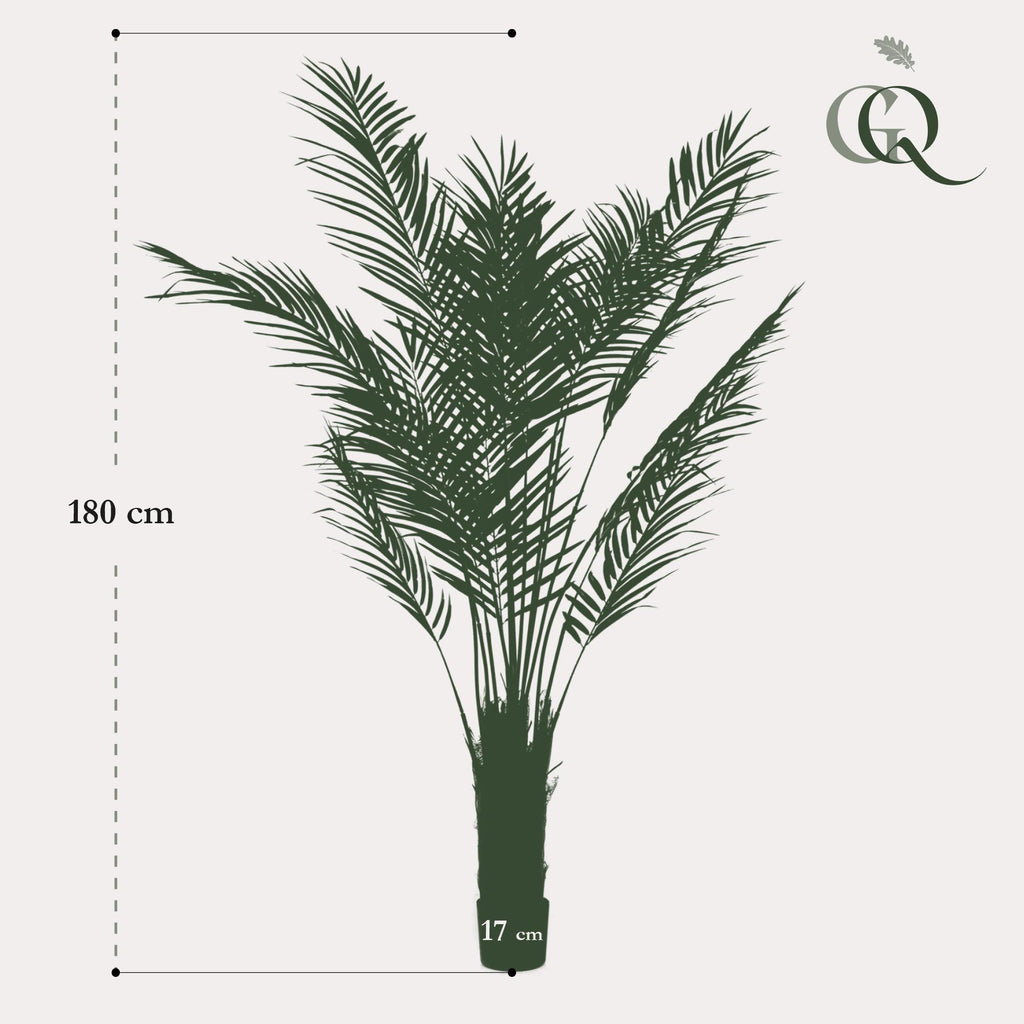 Productafbeelding van Pureplant