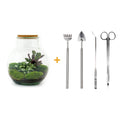 Detailfoto van DIY terrarium Teddy met licht, compleet gereedschap
