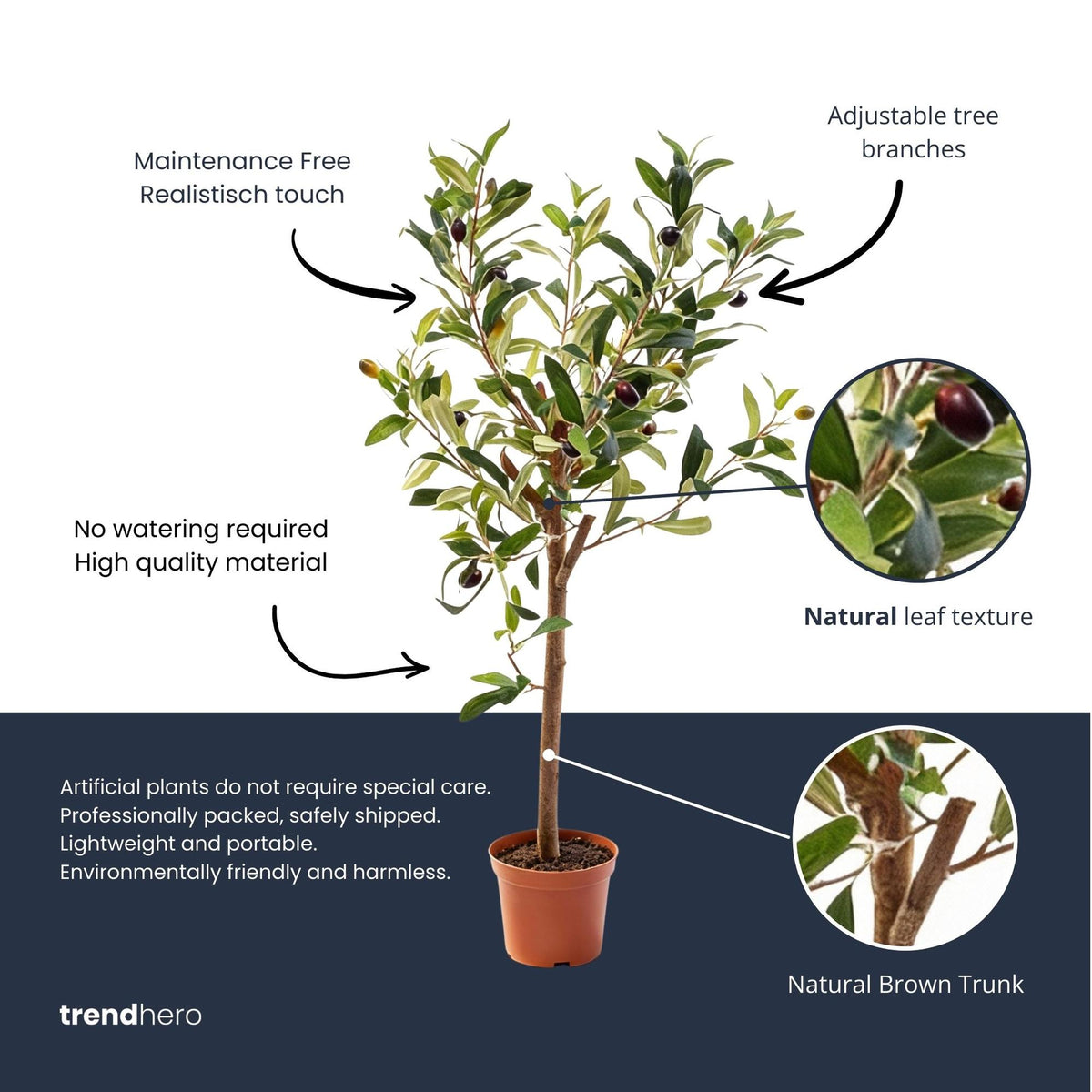 Olijfboom in pot, gezonde plant