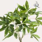 kunstplant - Pachira aquatica - Geldboom, detail van het blad