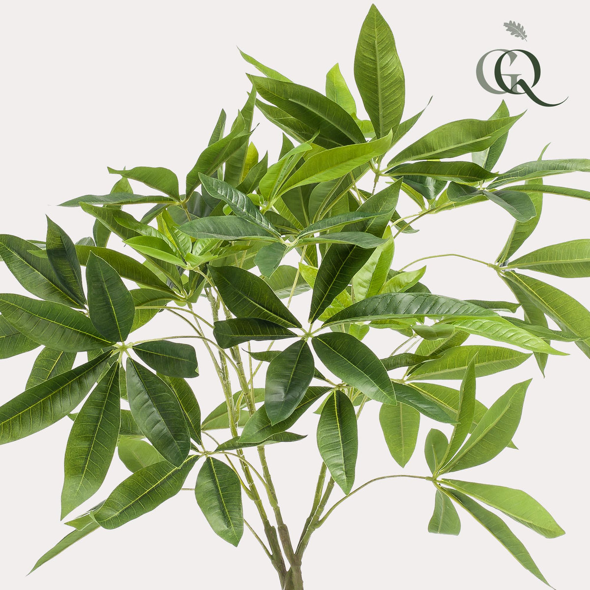 kunstplant - Pachira aquatica - Geldboom, detail van het blad