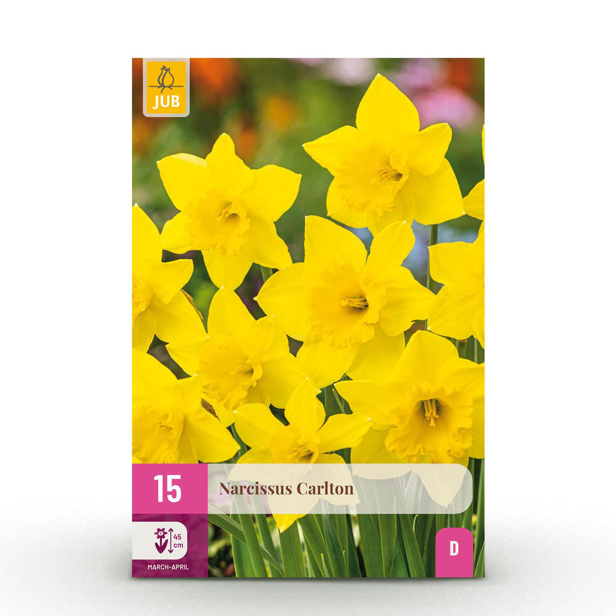 Narcis Carlton, detail van het blad