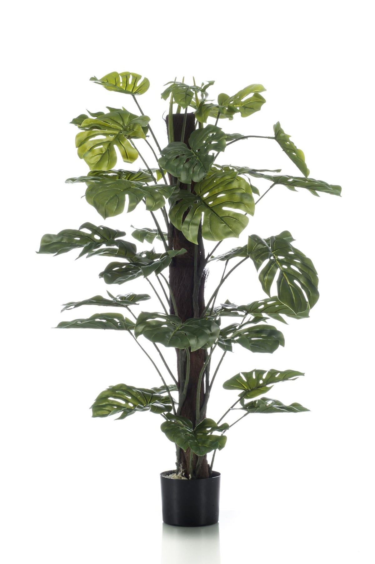 Productafbeelding van Pureplant