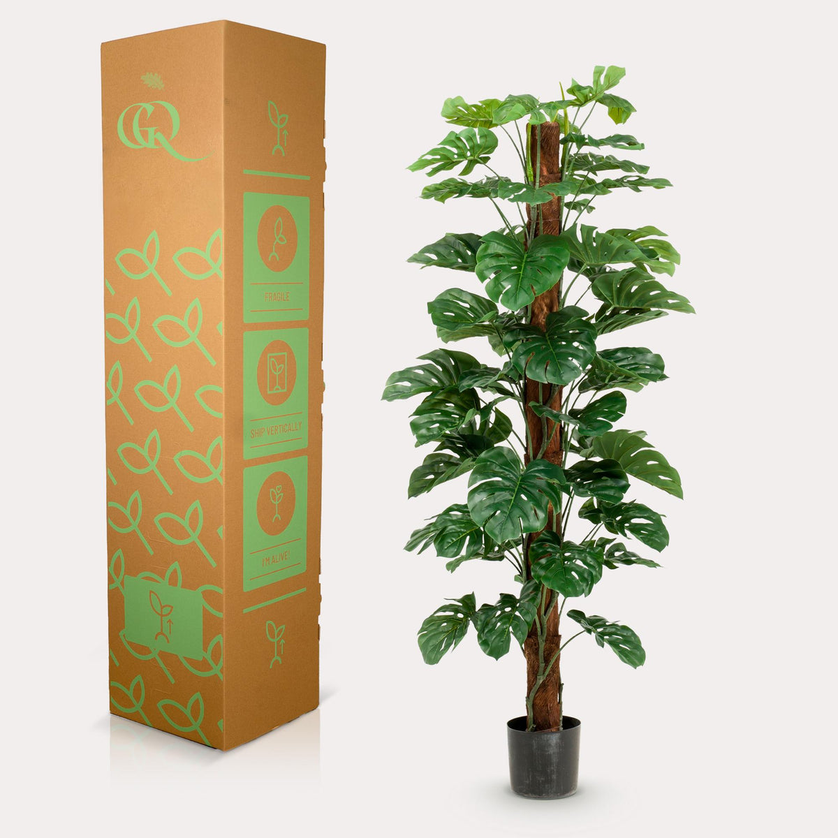 Productafbeelding van Pureplant