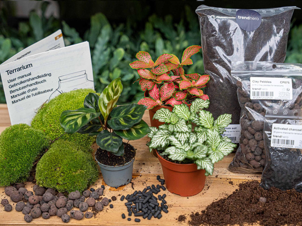 Productafbeelding van Pureplant