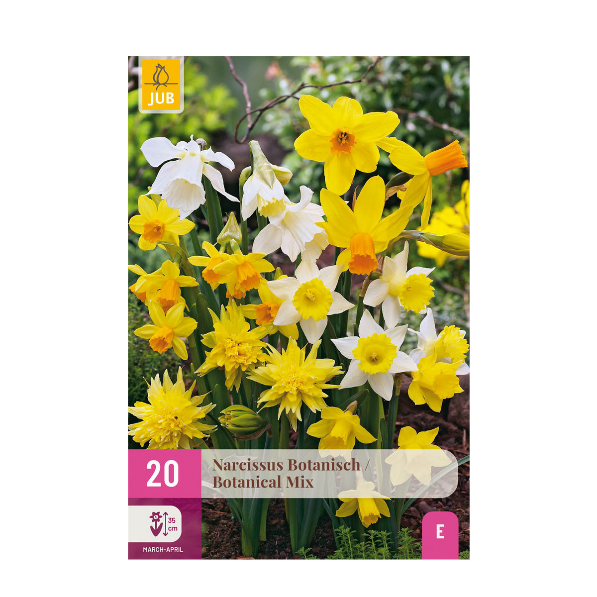 Narcis Botanical mix, detail van het blad