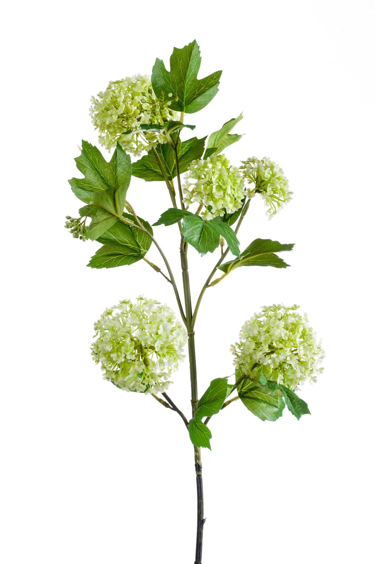 Kunstbloemen Solo - Crème - Viburnum Opulus Branches - x 4, groeiwijze van de plant