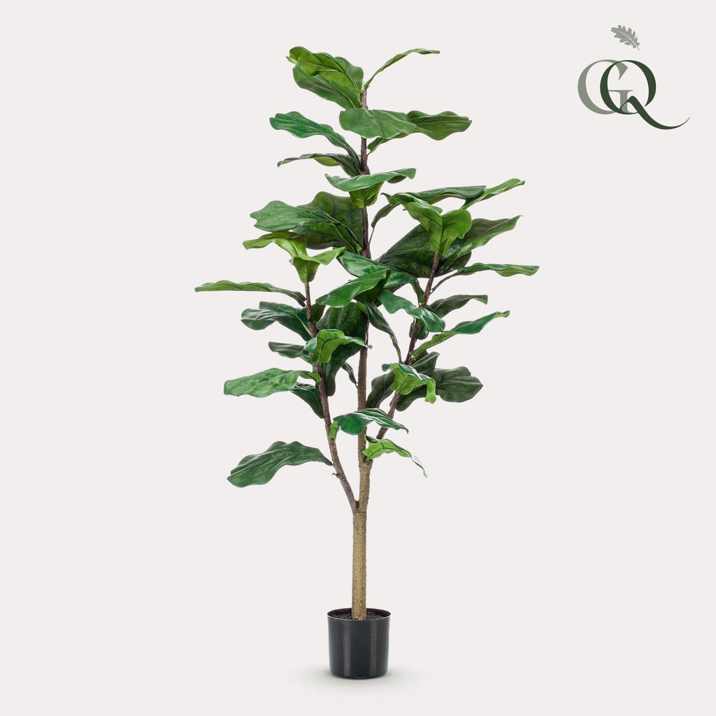 Productafbeelding van Pureplant