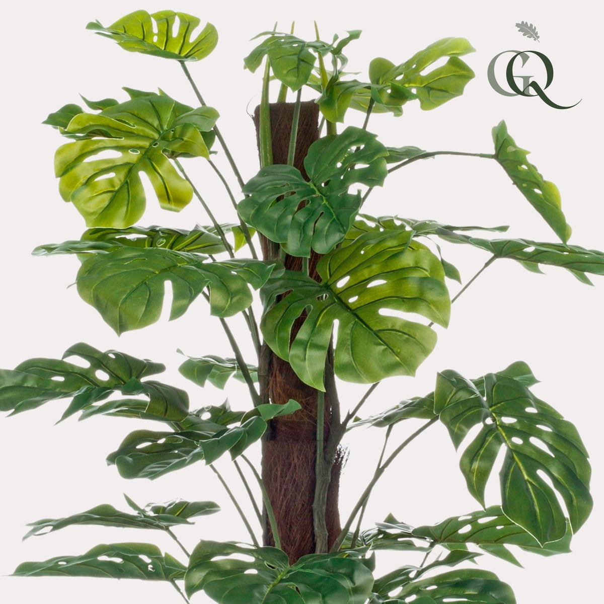 Productafbeelding van Pureplant