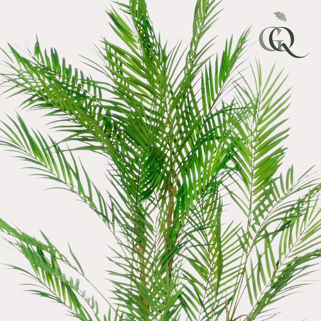 Kunstplant Chamaedorea elegans, bergpalm, 120 cm, groene bladeren