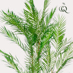Kunstplant Chamaedorea elegans, bergpalm, 120 cm, groene bladeren